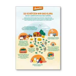 Klimaschutz Plakat DIN A1